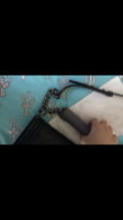 D13A10E8-9403-4001-B5AB-92A03A296E58.png