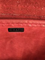 IMG_4152.jpeg