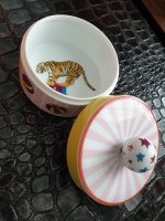 20190728_095755.jpg