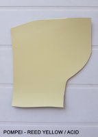Pompei - Reed Yellow Acid - Swatch (1).jpg