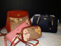 IMG_20190801_201054.jpg