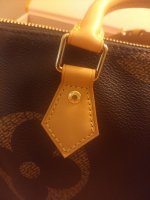 IMG_20190803_205257049.jpg
