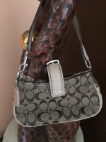 sanidaniel fake coach 3.jpg
