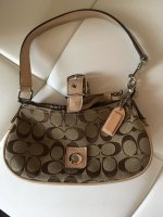 sanidaniel fake coach 1.jpg