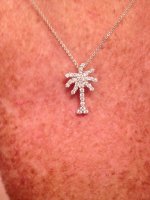 RC palm necklace.jpg