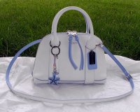 edgepaint white mini Preston005 better.jpg