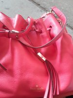 20190727_095159.jpg