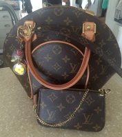 LV mini pochette.jpg