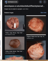Screen Shot 2019-08-11 at 3.07.52 PM.png