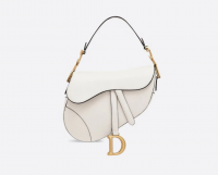 Medium or Mini Dior Saddle Bag?