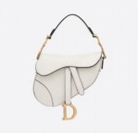 dior saddle bag small