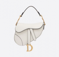 Medium or Mini Dior Saddle Bag?