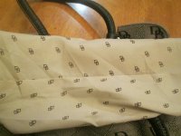 Dooney fake with DB lining 2.jpg