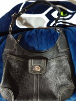 IMG_20190816_151313519.jpg
