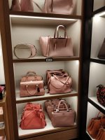 IMG_20190817_175028.jpg
