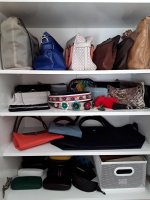 Just moved into a place with built-in bag storage, first time seeing my  collection like this 🥲 : r/handbags