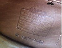 1996_A maybe-plant-QUEST_6AM-9022 + NO keyfob-a.jpg
