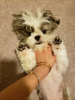 20190622_012856.jpg