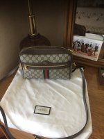 Gucci shoulder bag Ophidia.jpg