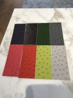 IMG_2055.jpeg