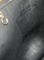 tablerockmastiff fake coach willis D9G-9927 creed.jpg