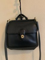 tablerockmastiff fake coach willis D9G-9927 front.jpg