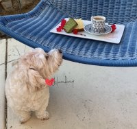 2275D9DB-5CA4-4AED-AD25-FAF21961E5C2.jpeg