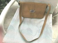 cassiencasey coach bag w:fake Gucci clamp on logo front.jpg