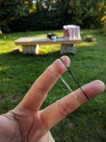 IMG_20190912_181737.jpg