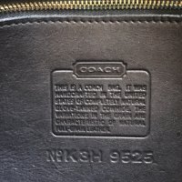 pic1.jpeg