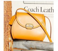 Coach Spring 2020 mini bag - yellow.jpg