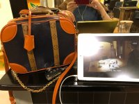 20092019 Mini Luggage at salon.jpg