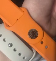 sport straps.jpg