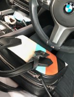 26092019 Dora BB in car.jpg