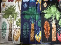 Index_Palmarum_Gr_03.jpg