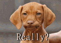 F42AA35A-FCCF-4556-9988-4B28D68F888D.gif