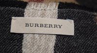 burberry scarf close up - 1 (2).jpg