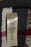 burberry scarf close up - 1 (1).jpg