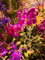 IMG_20191026_120307.jpg