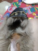 IMG_20191030_173728710.jpg