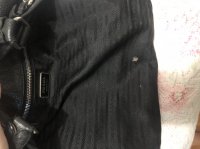 4077EAE8-34B6-46F6-8E0F-8BD026EBBDE9.jpeg