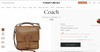 vestiaire coach 1.png