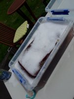 20191107_144049.jpg