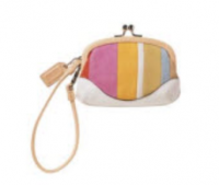 coach 8638 striped wristlet.png