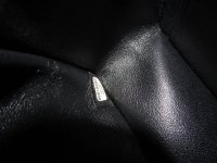 DSC07958.JPG