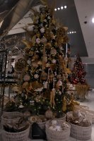 IMG_20191109_1708559.jpg