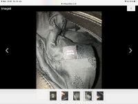 4B205C51-9D71-4F20-81FA-AA5F42916D9D.png
