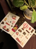 IMG_7846.jpeg