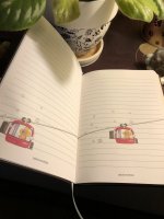 IMG_7847.jpeg