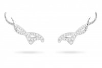 Earrings2.jpg